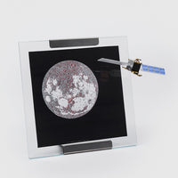 Galapagos - Danese Milano