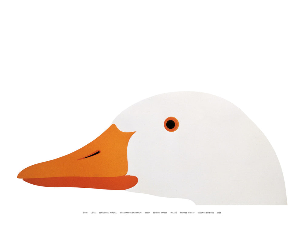 Otto, l'Oca (50x70)